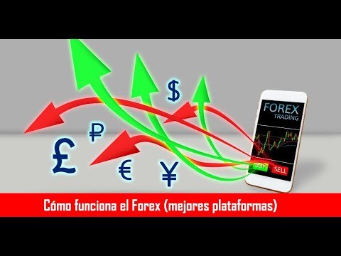 Cómo funciona Forex: Mejores plataformas para análisis – Finviz | www.SubmarinoBursatil.com