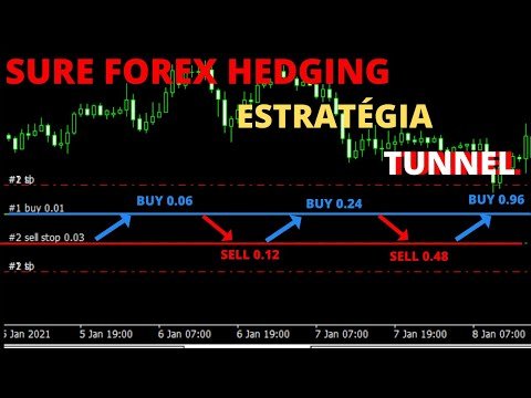 ROBÔ DE HEGDE COM ESTRATÉGIA TUNNEL? | FOREX